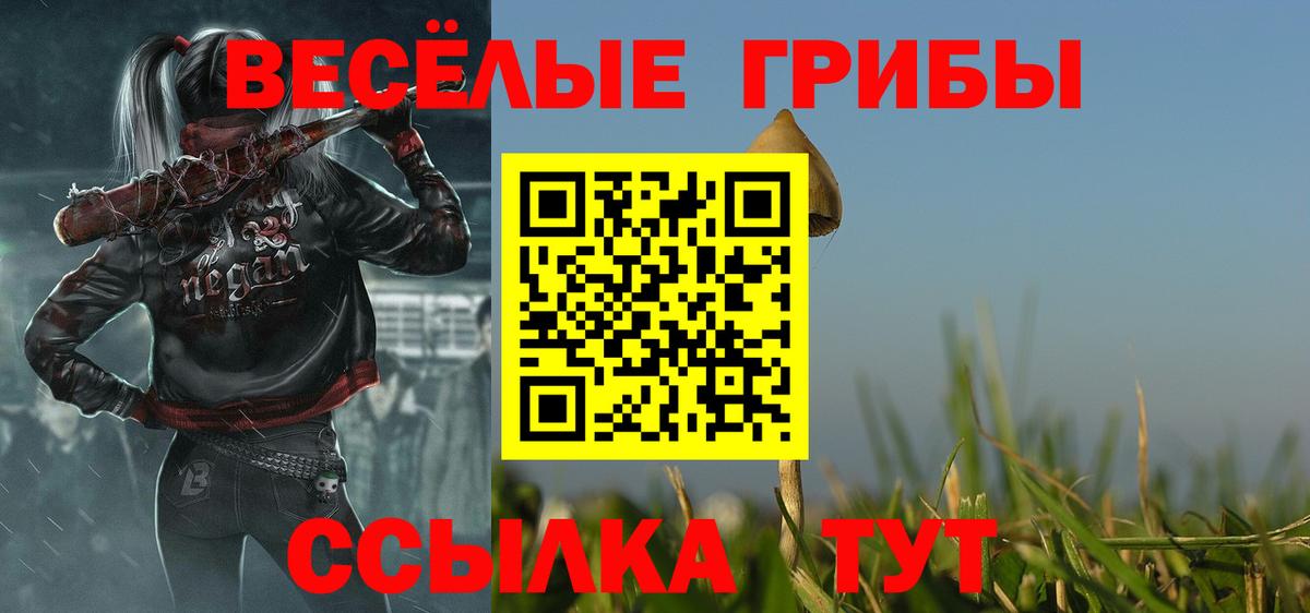 Псилоцибиновые грибы Magic Shrooms  хочу наркоту  Котовск  Вход с VPN 