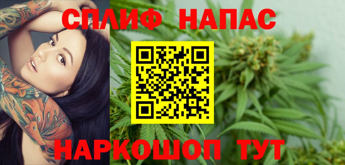 Каннабис конопля Котовск